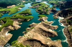 �����и�����������